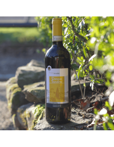 Albana di Romagna Donna Sandra – süßer Weißwein mit Aromen von Ananas und Mango, Tenuta Amalia, 0,75 l