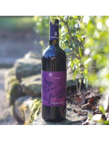Cagnina Dolce Viola – süßer Rotwein von Tenuta Amalia mit Noten von Erdbeere und schwarzer Kirsche, 0,75 l
