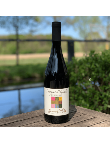 Sangue di Giuda – süßer, leicht perlender Rotwein aus Oltrepò Pavese mit Aromen von Erdbeere und Himbeere, Frizzante, 0,75 l