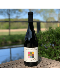 Sangue di Giuda – süßer, leicht perlender Rotwein aus Oltrepò Pavese mit Aromen von Erdbeere und Himbeere, Frizzante, 0,75 l