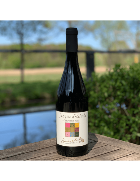 Sangue di Giuda – süßer, leicht perlender Rotwein aus Oltrepò Pavese mit Aromen von Erdbeere und Himbeere, Frizzante, 0,75 l